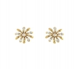 Stud earrings online